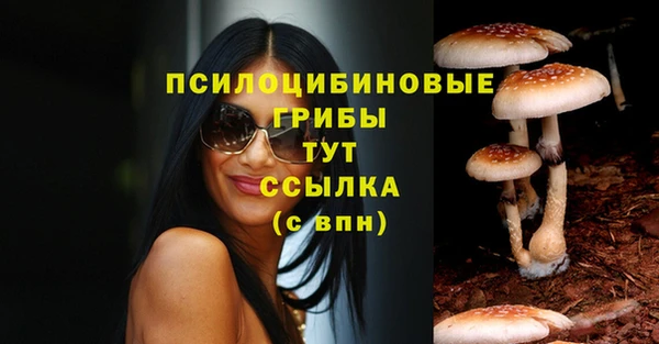 СК Дмитров