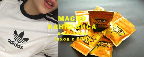 индика Елизово