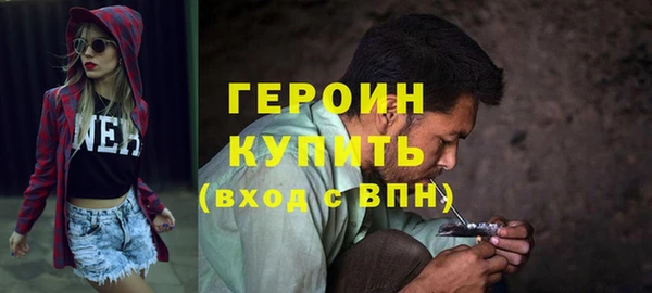 ПСИЛОЦИБИНОВЫЕ ГРИБЫ Дмитриев