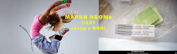 индика Елизово