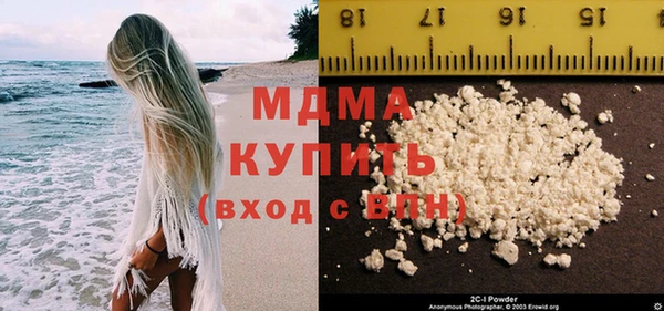 ПСИЛОЦИБИНОВЫЕ ГРИБЫ Дмитриев