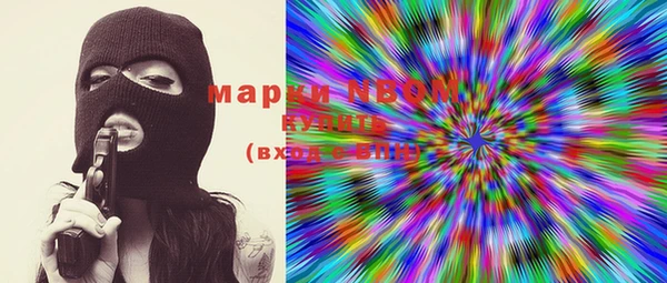 ПСИЛОЦИБИНОВЫЕ ГРИБЫ Дмитриев