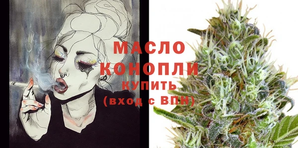 ПСИЛОЦИБИНОВЫЕ ГРИБЫ Дмитриев