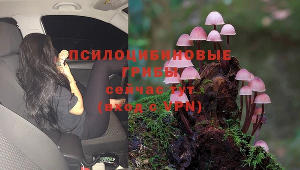 твердый Ельня