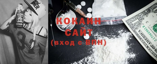 СК Дмитров