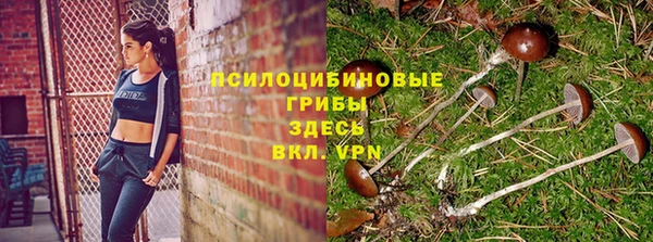 мяу мяу мука Строитель